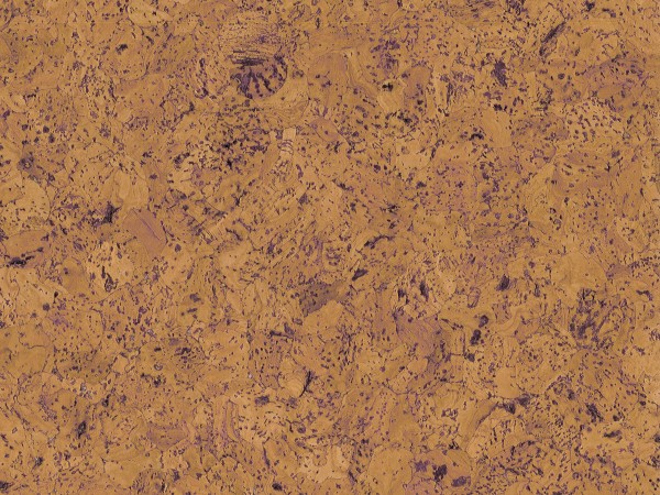 TRECOR® Korkboden mit Klicksystem EVORA Korkfertigparkett - 10,5 mm Stark - Farbe: Orange