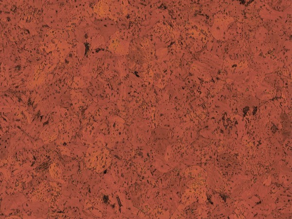 TRECOR® Korkboden mit Klicksystem EVORA Korkfertigparkett - 10,5 mm Stark - Farbe: Korallenrot